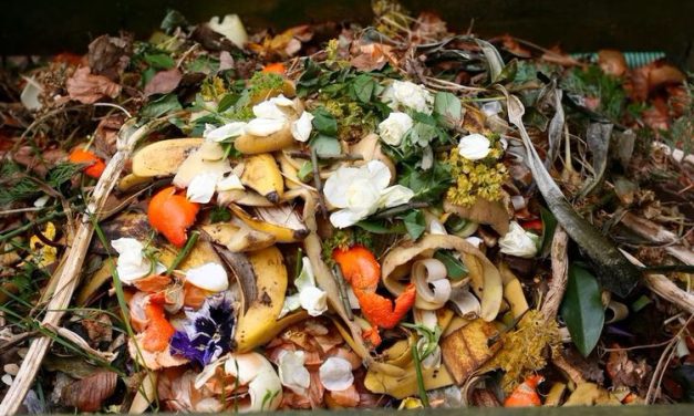 Sistem Pengelolaan Terpadu Bisa Tekan Emisi Limbah Makanan