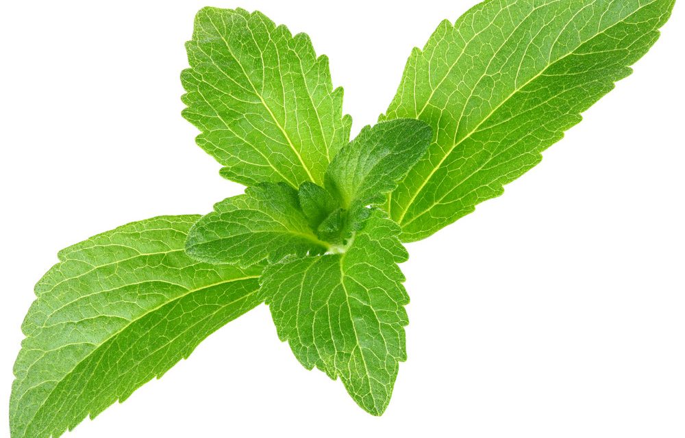 Stevia: Pemanis Alami Yang Lebih Sehat Pengganti Gula