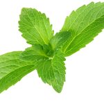 Stevia: Pemanis Alami Yang Lebih Sehat Pengganti Gula