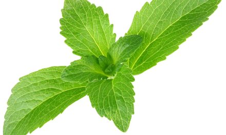 Stevia: Pemanis Alami Yang Lebih Sehat Pengganti Gula