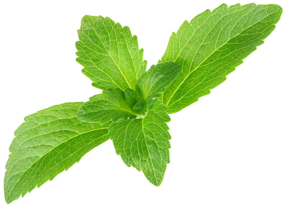 Stevia: Pemanis Alami Yang Lebih Sehat Pengganti Gula
