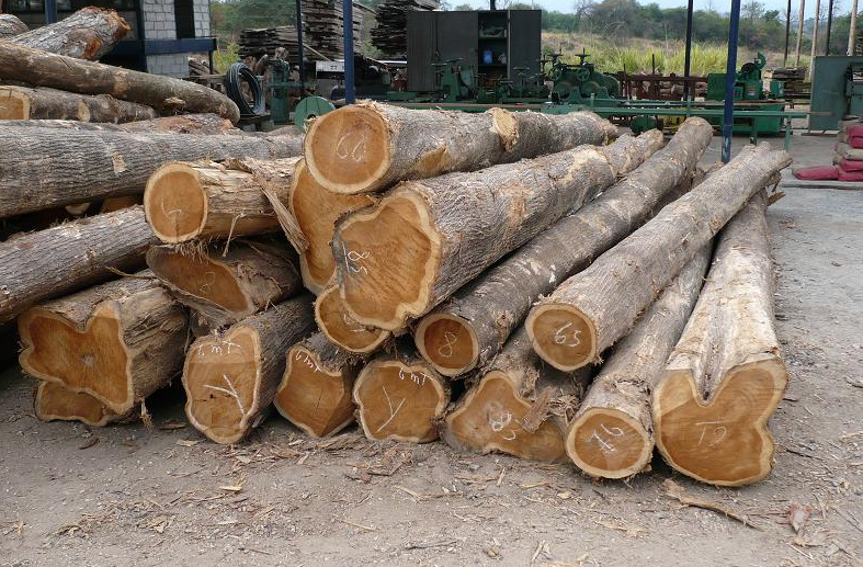 Jenis Kayu Berkualitas Tinggi Banyak Digunakan Di Indonesia