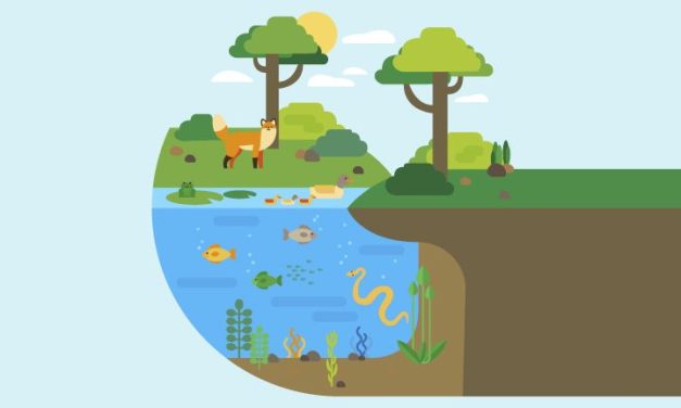 Ekosistem: Hubungan Makhluk Hidup Dan Lingkungan Sekitarnya