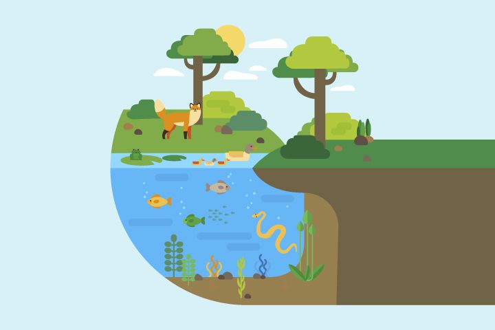 Ekosistem: Hubungan Makhluk Hidup Dan Lingkungan Sekitarnya