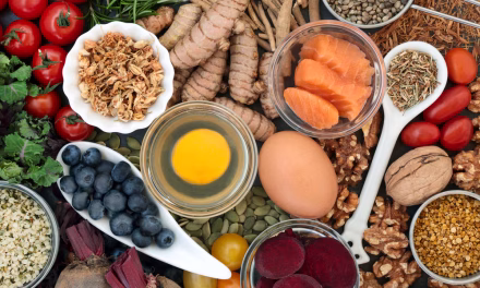Protein Makanan: Perannya Untuk Mendukung Kebutuhan Tubuh