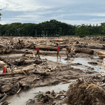 Keseimbangan Ekosistem: Dampak Kerusakan Habitat Bagi Hewan