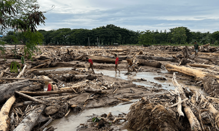 Keseimbangan Ekosistem: Dampak Kerusakan Habitat Bagi Hewan
