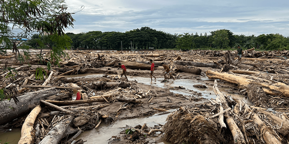 Keseimbangan Ekosistem: Dampak Kerusakan Habitat Bagi Hewan