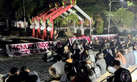 Naomi Simamora, Peran Presiden BEM Menyuarakan Aspirasi
