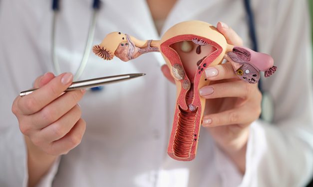 Organ Reproduksi: Mengenali Gejala Infeksi Pemeriksaan Medis