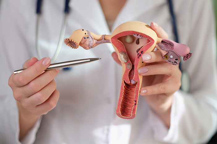 Organ Reproduksi: Mengenali Gejala Infeksi Pemeriksaan Medis